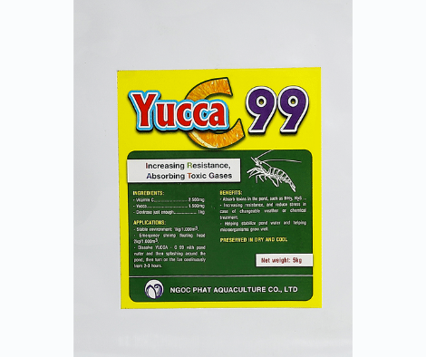yucca-c-99