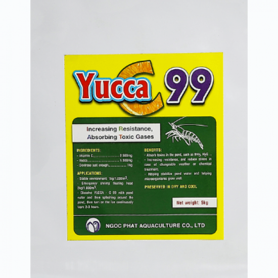 YUCCA C 99